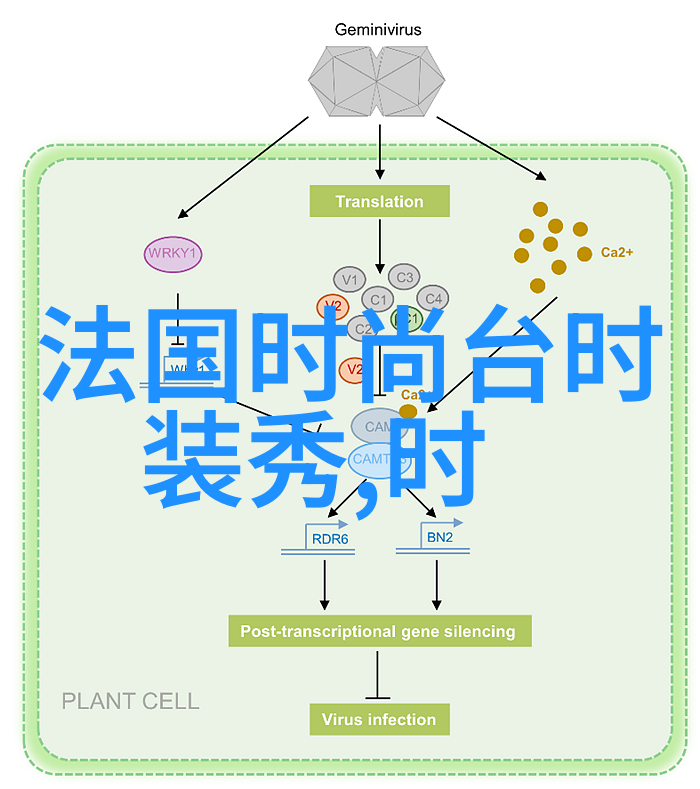 时代少年团综艺节目有哪些我来告诉你这些是他们参加过的那些爆笑又感人综艺