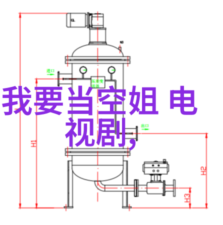 人物传记-王洋追梦人生