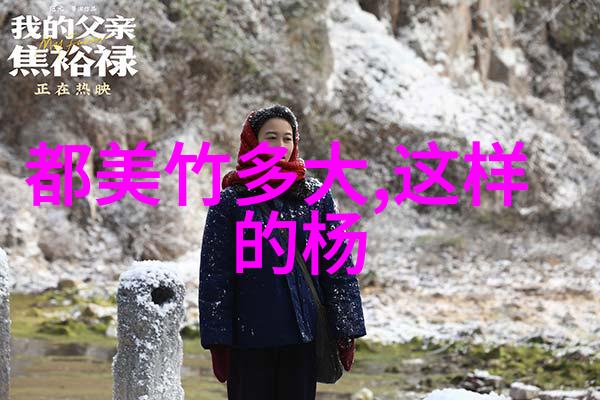 袁冰妍《听雪楼》