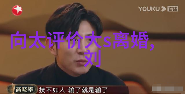 皮影戏中的现实同性明星与演艺生涯