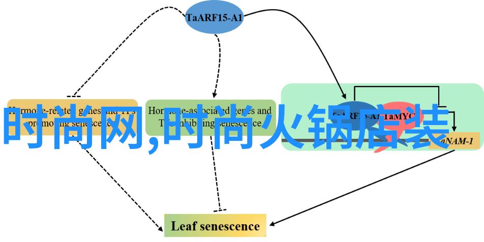 主题-101编程入门从基础到实践的全方位指南