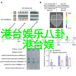 跨屏协同享受无缝观看小苹果技术亮点