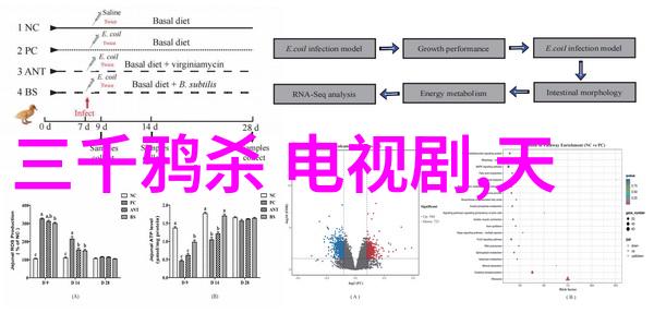 不懂撒娇的女人探索一种不同于常规女性角色