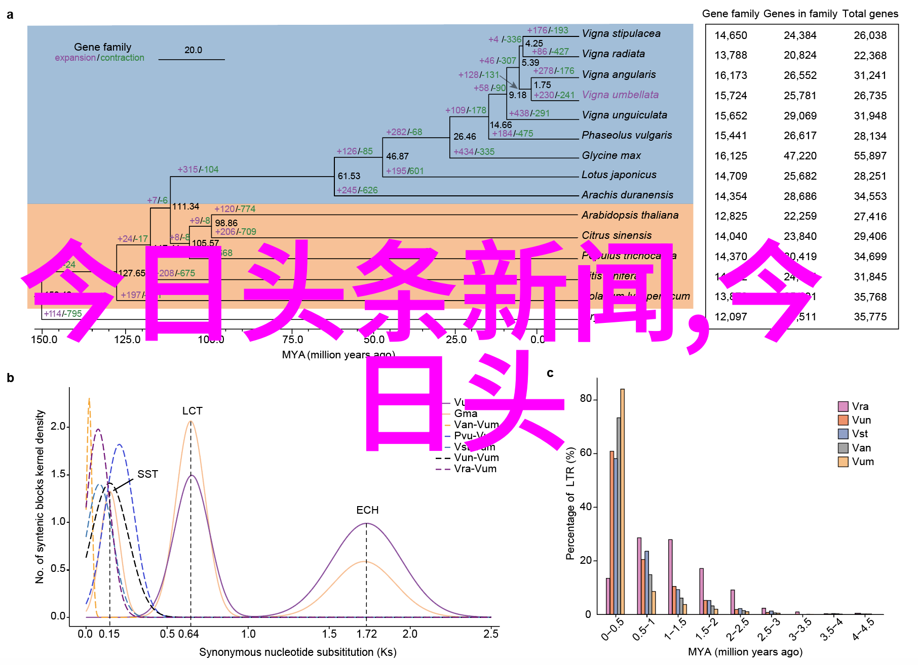 太快了原炀头条揭秘科技界速度革命