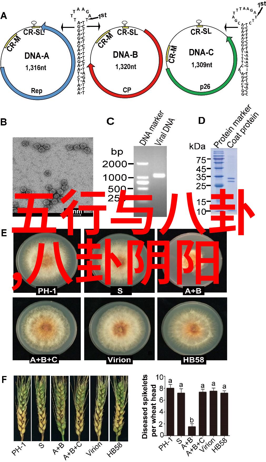 白鹿电视剧中是否存在历史事件的借鉴或参考