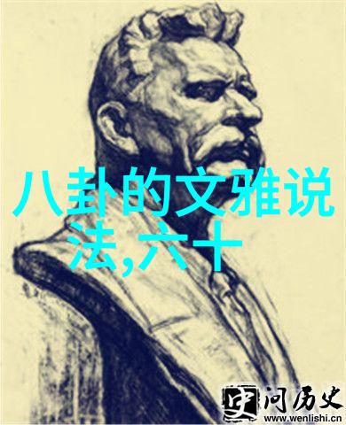 日本成人综艺风云笑声与挑战的无界盛宴