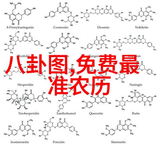 校园风云网红挑战的衡水之谜