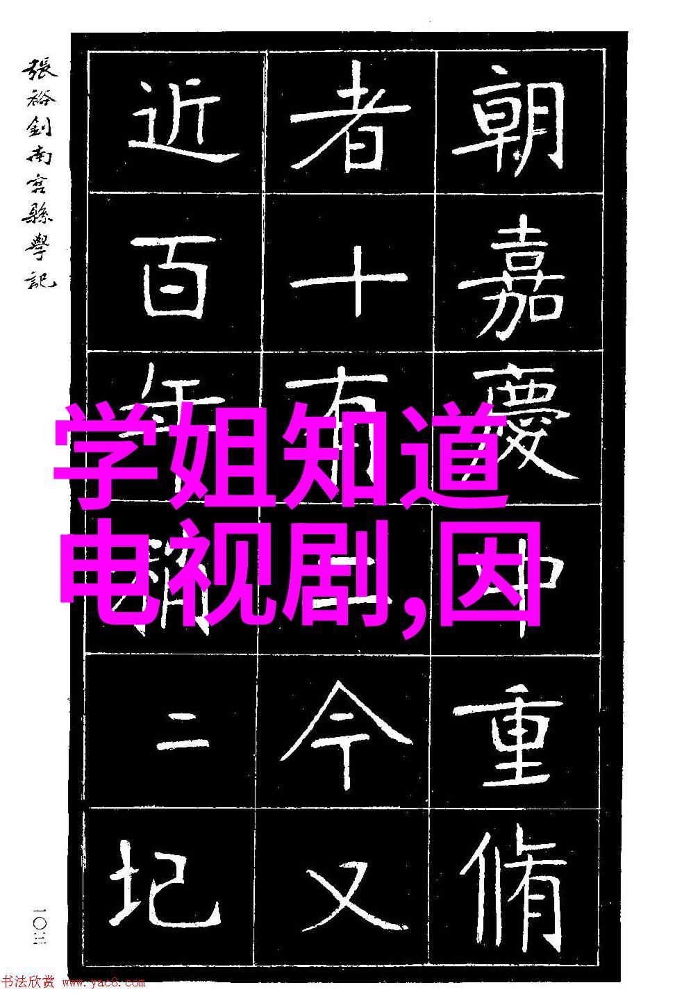 声生不息2009电视剧人物介绍