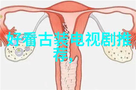 翩翩起舞的文字探索戏点鸳鸯全集中的文学魅力