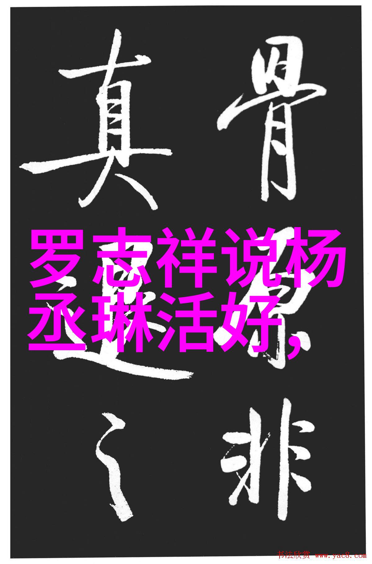 骄宠臣年小说我是文官的宠儿从宫廷走红到权力的玩偶