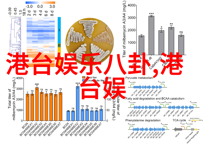 主题-封神在威尼斯电影节遭遇冷淡反应期待与现实的落差