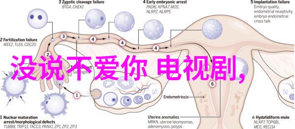 综艺喜乐汇亲测那些让人笑到停不下来的小技巧