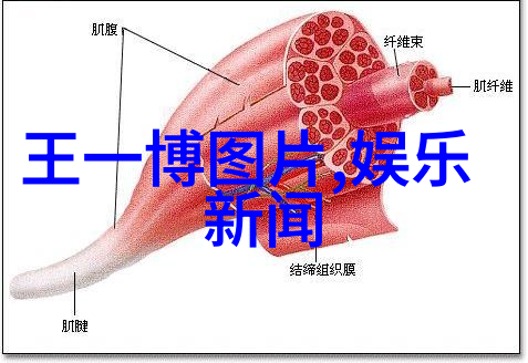 刘昊然考上编制还能拍戏吗黄晓明Angelababy官宣离婚自然界的宁静与艺界风波交织成一幅复杂图景