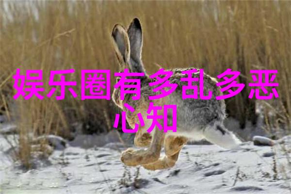 爱与勇气的交响曲不懂撒娇里的女性角色分析