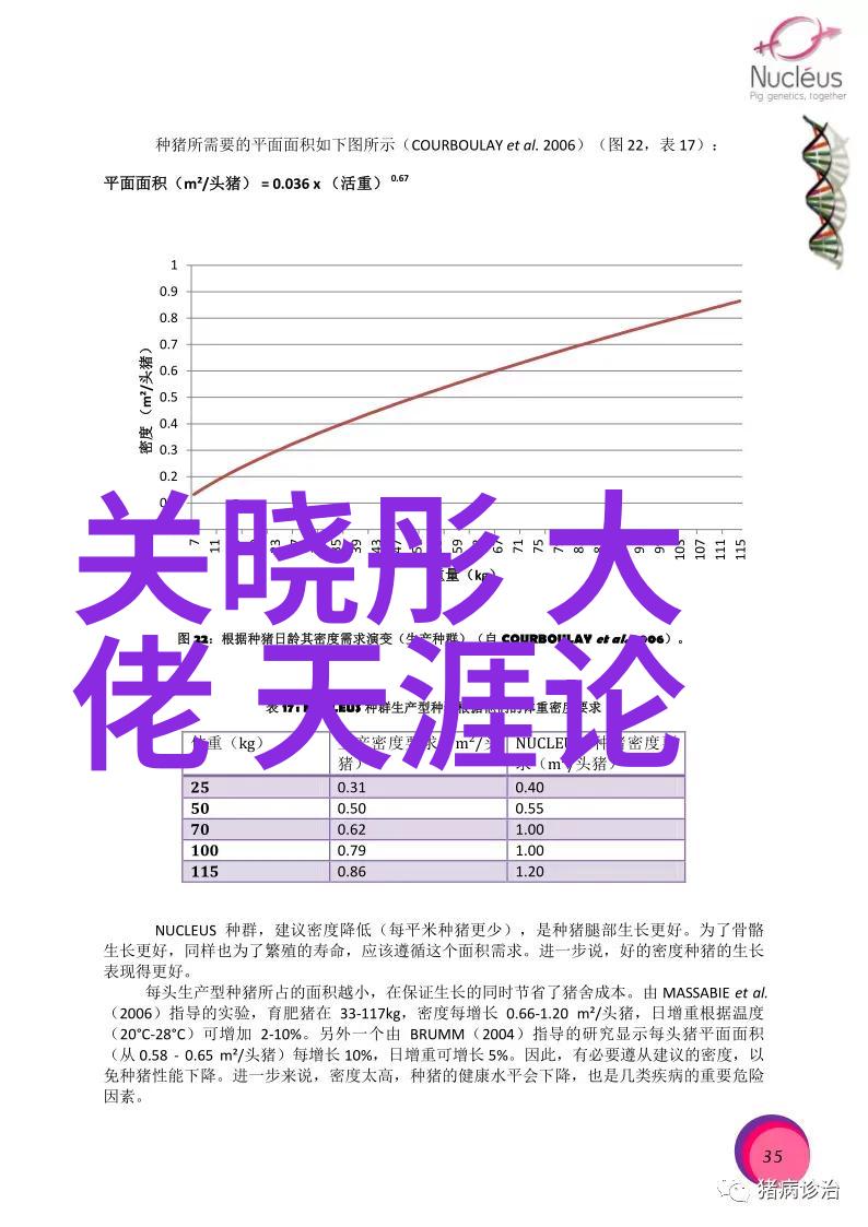 男人插曲女人下生免费大全总结