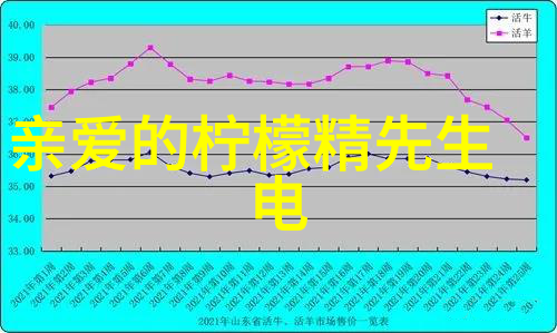 大胆写真我是如何在海边一跃而成网红的