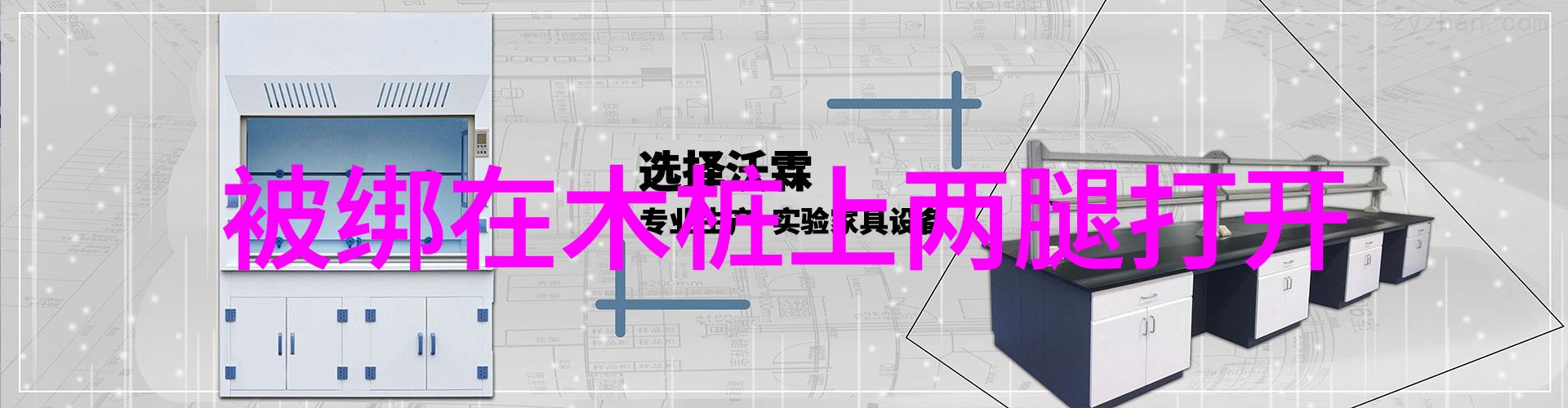 金宇彬调侃自己长相像肉食恐龙 因为身高才获得成功