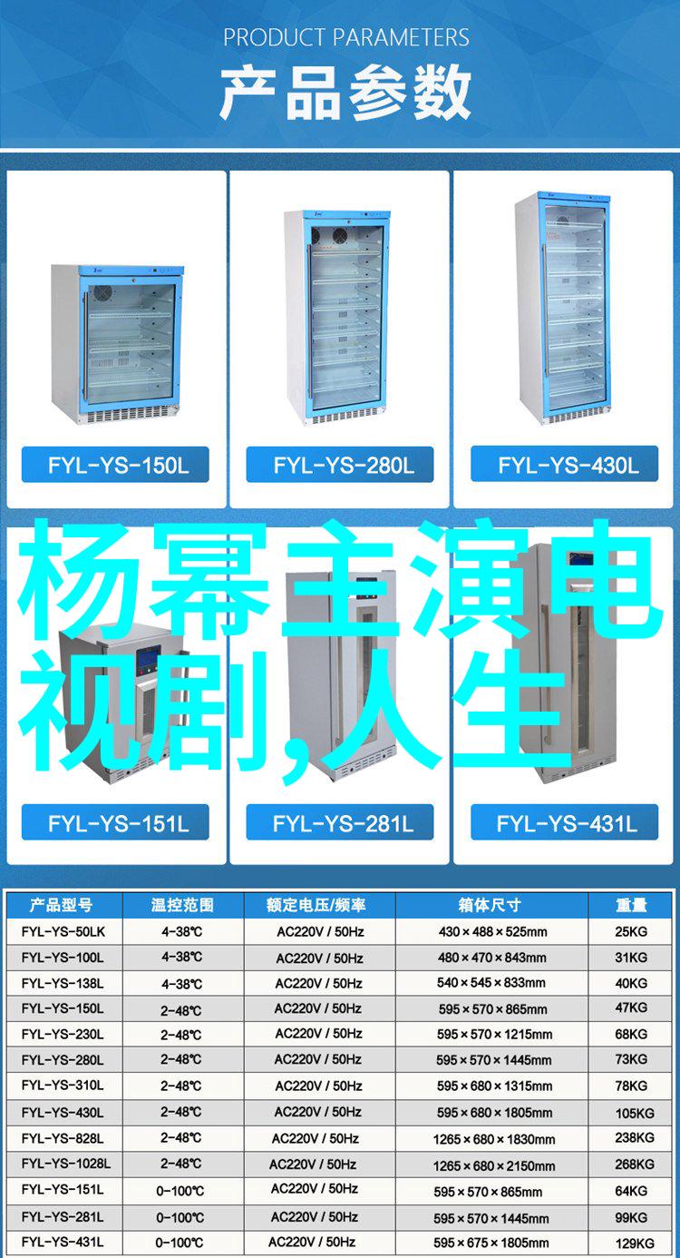 台湾的政治与经济现状稳定与挑战并存