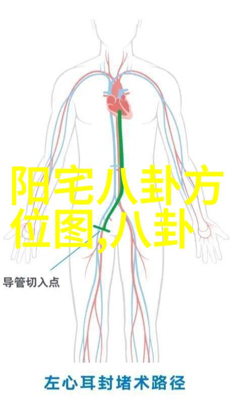 直播梦想空降APP随心播出