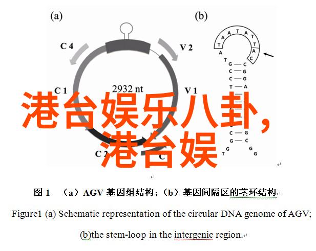 汤芳写真捕捉时尚与梦想的瞬间