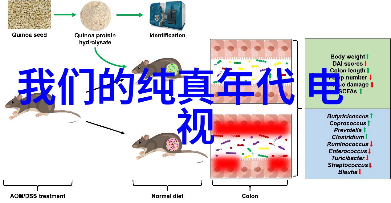 娱乐圈的八卦大爆料明星私生活真相如何