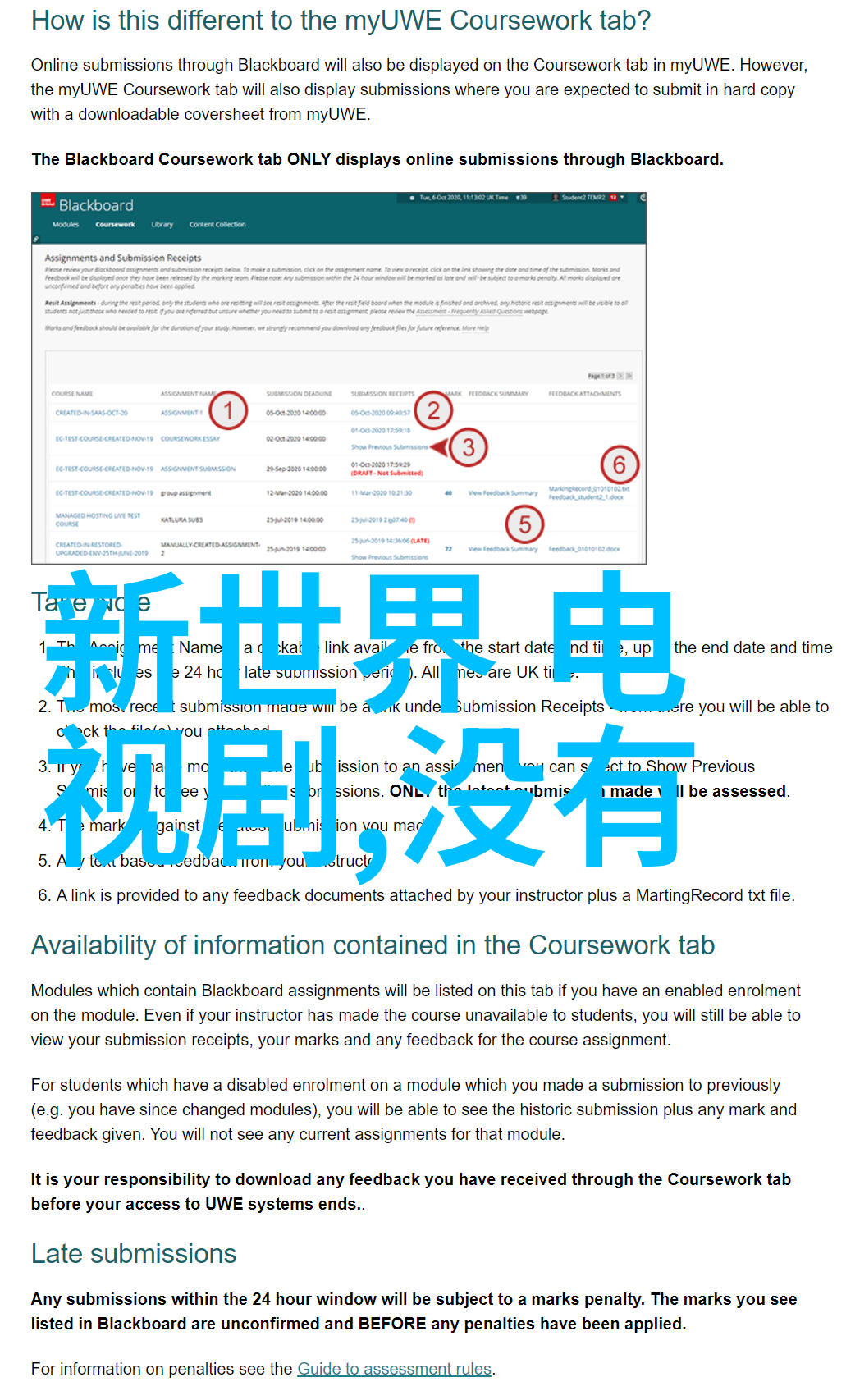 荧屏上的奇妙聚会芒果tv综艺的魅力