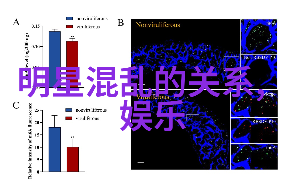 设计灵感来自自然探索雪梨朱宸巧妙融合室内外空间设计案例