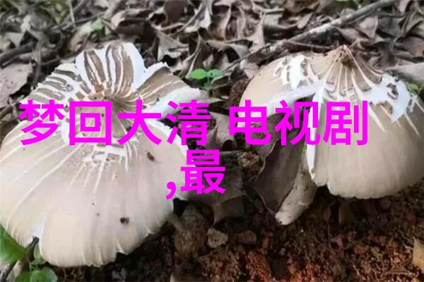 使用豆瓣电影可以帮助我了解全球各地观众对不同类型電影的喜好吗