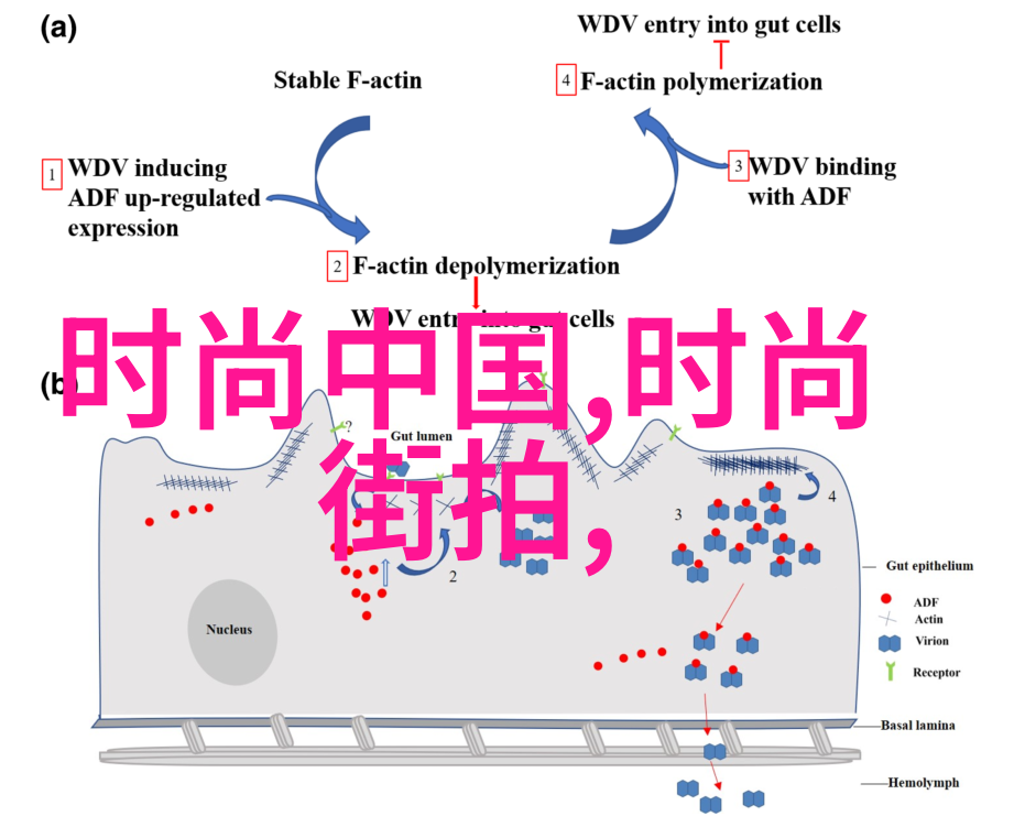 视频敢死队2剧场版预告片出炉 8月17日北美震撼上映