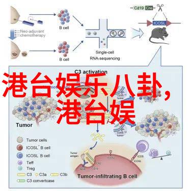 两大陆的天然屏障探索亚欧与南极洲的地理隔阂