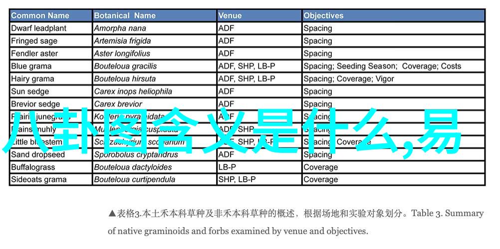 向往的生活追逐梦想的旅程真实的人生故事感动与成长