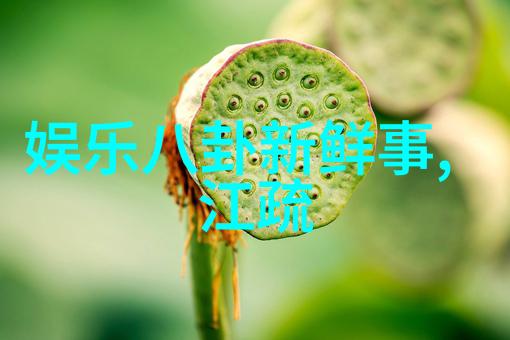 下厨房金银花全文免费探秘传统中药材的美食应用