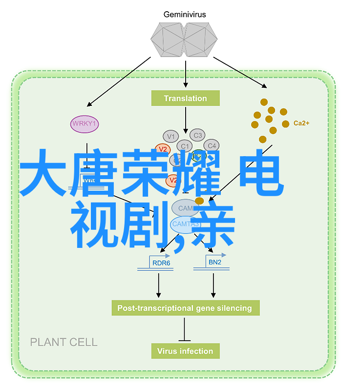 数字科技未来趋势深度探究数字技术在未来的发展方向和可能的影响