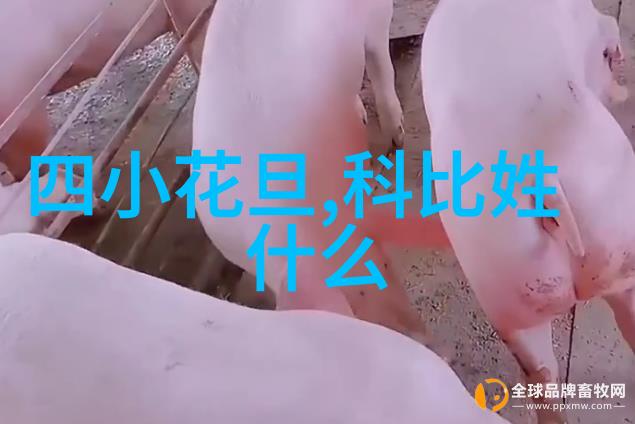 王子文新作温柔壳豆瓣评分7.7适合两个人运动前观赏的美国电影轻松享受双重乐趣