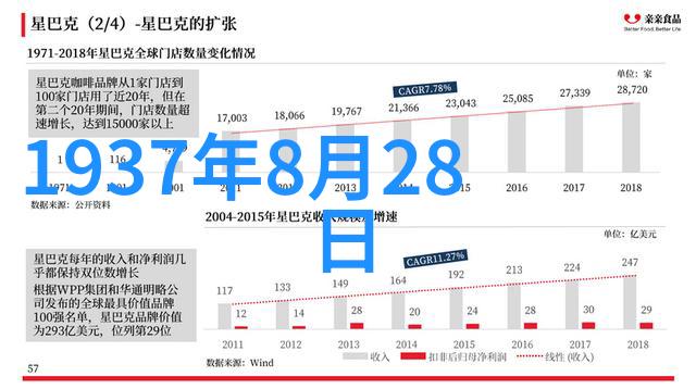 伪装者 电视剧-穿梭在谎言中的真相探索伪装者背后的故事