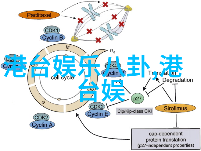 开心麻花综艺我是观众你是主持人我来评评你这期节目