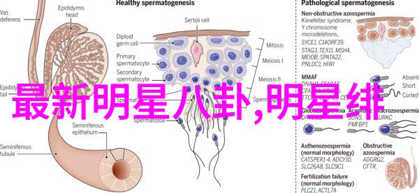 国外b站直播app的普及程度如何