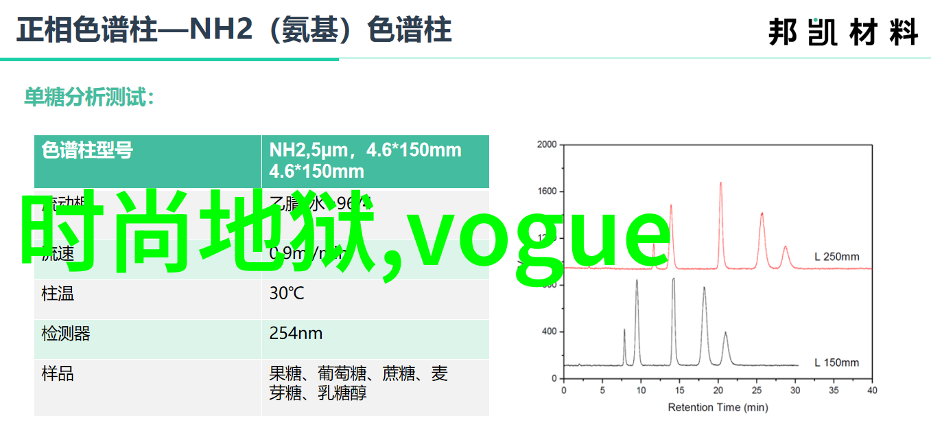 写真与其他艺术表现形式相比有哪些独特之处