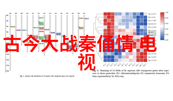 五行八卦福正品图片麦迪娜怀二胎后素颜露面穿宽松白T难掩孕肚黑眼圈浓厚显憔悴