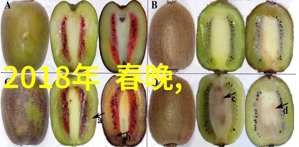 音乐大全300首免费听我是如何发现的那些让人心动的旋律