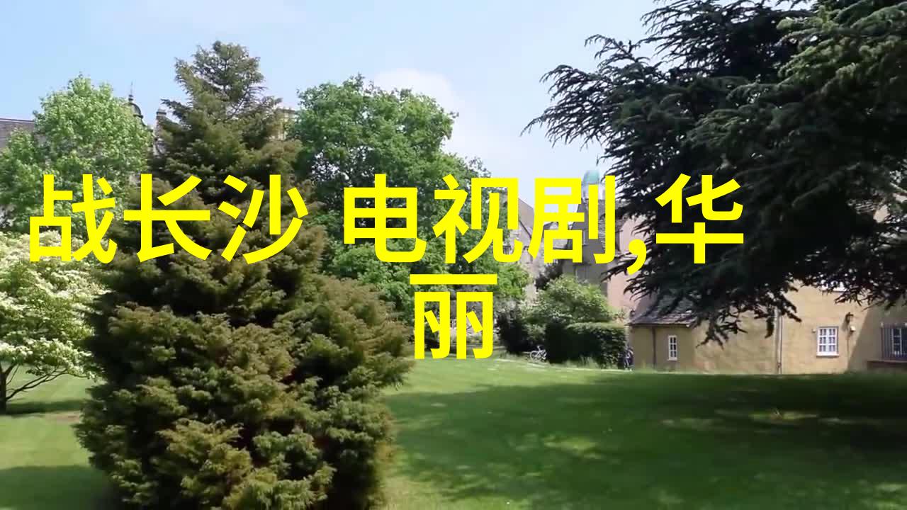 班长的秘密笔记一场C课作文视频的背后故事