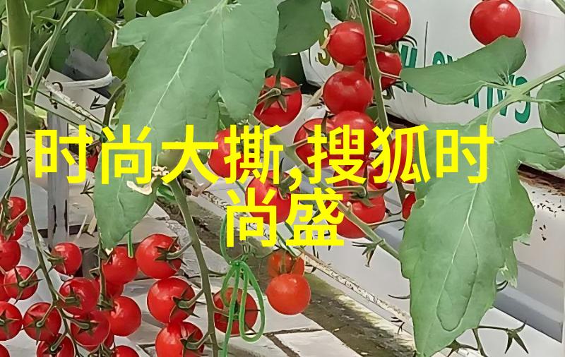 逆袭之美从影视幕后到摄影界的华丽转身