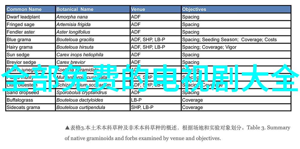 在职场的迷雾中是否该勇敢追求那份难以启齿的爱情