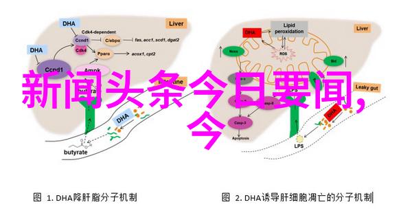 秘密天使举行庆功会 陈翔金素恩上演爱的抱抱