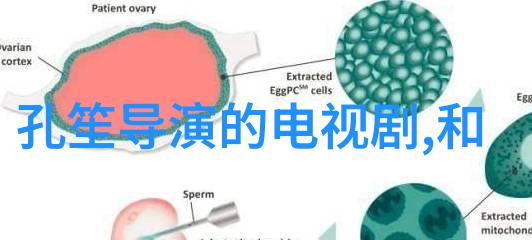 娱乐八卦-高圆圆为什么被称为炮台揭秘影星的形象与背后的故事