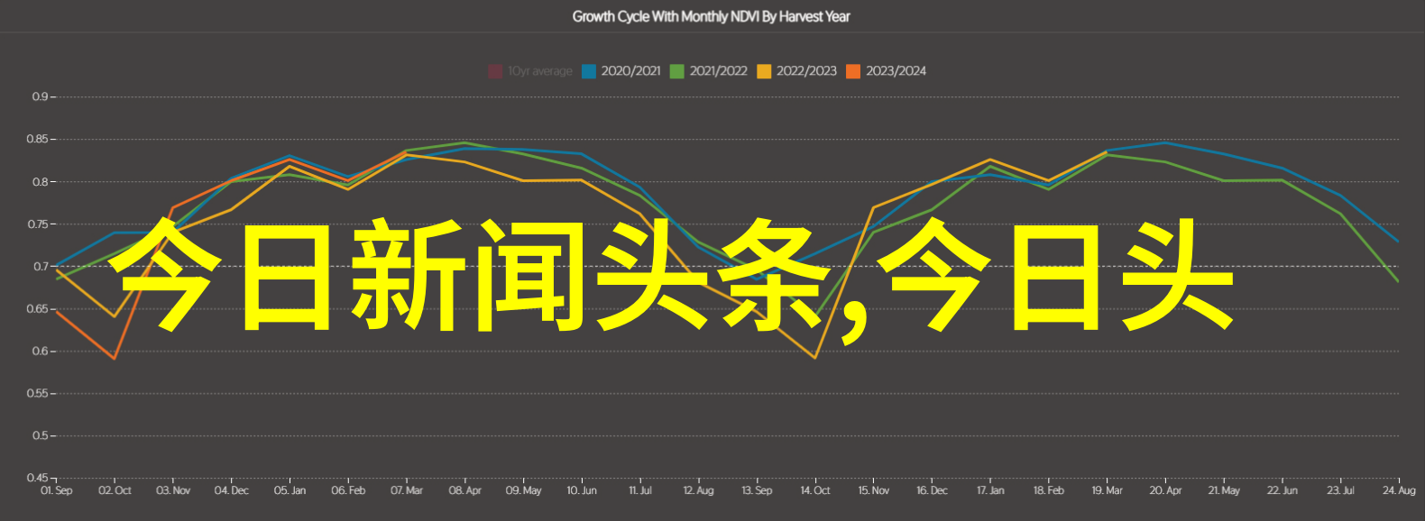 为何一栋城管办公场所成了夜晚的焦点