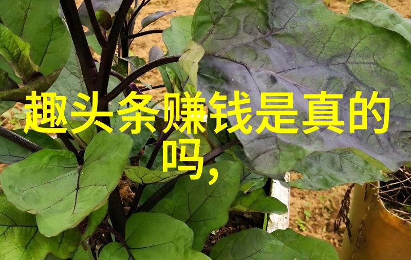 好看漂亮的图片大全激发热点两大平台主播线下PK虚拟现实交互创造奇妙瞬间