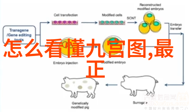 解读呼叫大明星电视剧中的角色塑造与社会影响