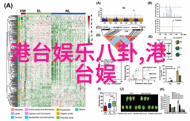 浪漫事迹温暖人心  记录著名影视小生们如何找到彼此