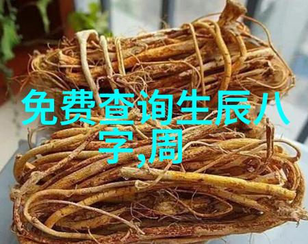 探索正大综艺的魅力跨界合作与文化融合的新篇章